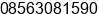 Phone number of Mr. Richard Nico at Surabaya